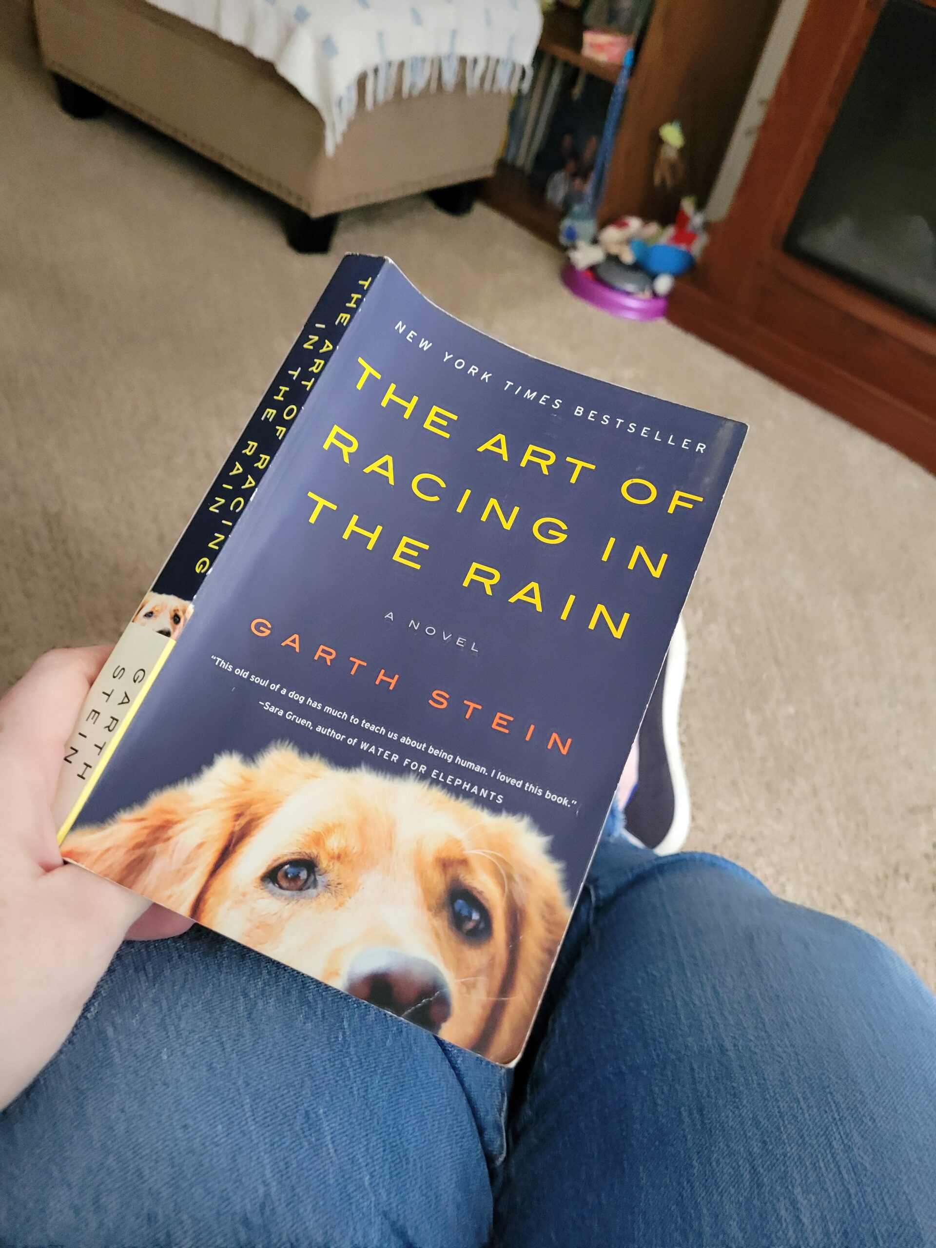 Image of Book - The Art of Racing in the Rain by Garth Stein